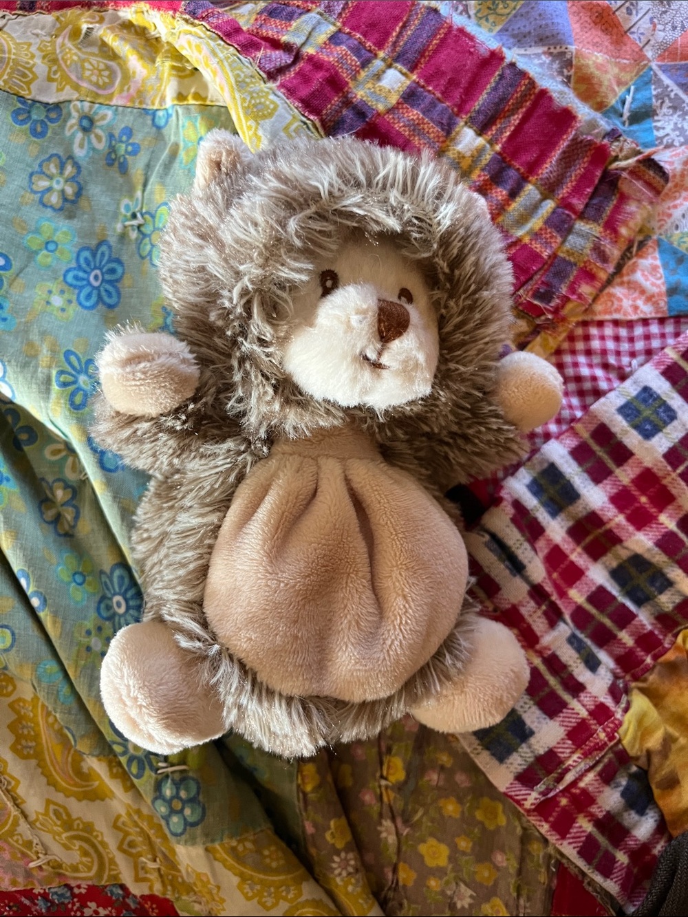 NWT Bukowski Ziggy Hedgehog